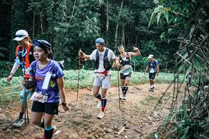 BIB: 
                            <button type="button" onclick="openModal(25955781)" class="btn btn-primary btn-sm float-right btn-popup" data-toggle="modal" data-target=".modal-high-quality">
                        <i class="fas fa-shopping-cart"></i> Add to Cart
                    </button>
                                            <button type="button" onclick="isThisMe(25955781, true)" class="btn btn-success btn-sm float-right btn-popup btn-isme hidden" data-toggle="tooltip" data-placement="bottom" title="นี่คือรูปของคุณใช่ไหม คลิกที่นี่เพื่อเอาเข้าอัลบั้ม">
                        <i class="fas fa-plus"></i> Add to album
                    </button>
                    <button type="button" onclick="isThisMe(25955781, false)" class="btn btn-warning btn-sm float-right btn-popup btn-isnotme hidden">
                        <i class="fas fa-ban"></i> Remove from album
                    </button>